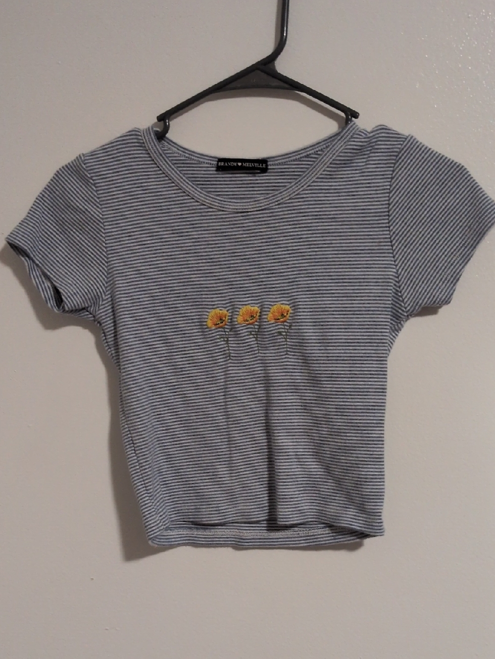 Brandy Melville Striped Floral Baby Tee